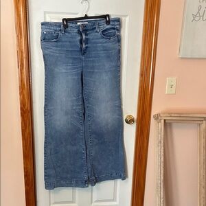 Torrid Belle Isle Big Flare Jeans